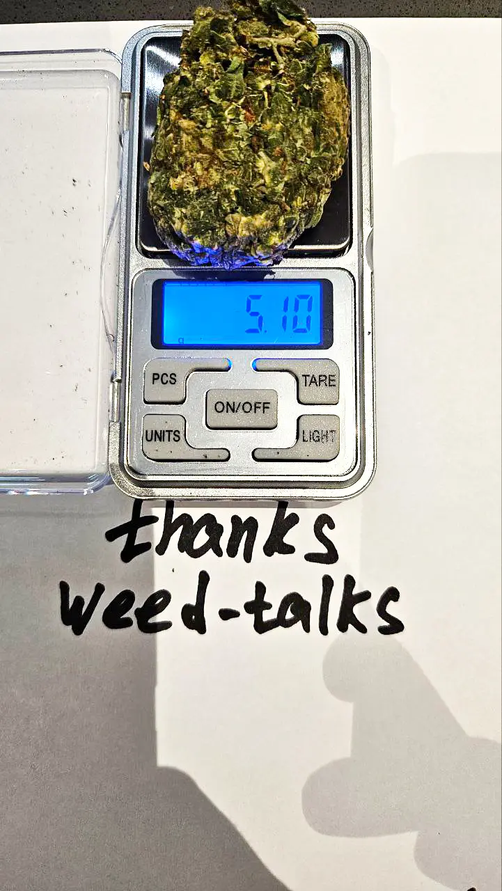 Фото от LucasZ